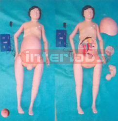 NATURAL BASIC PATIENT CARE MANIKIN WITH PREGNANCY AND LIGHTING INDICATION